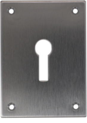 Picture of REPAIR ESCUTCHEON SCREWFIX - KEYLOCK | 47.5 X 65.5 X 1.5 | SATIN STAINLESS | PRINTED POLYBAG