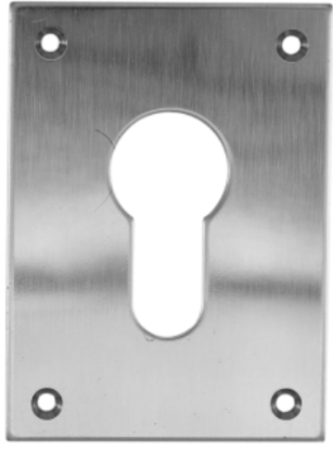 Picture of REPAIR ESCUTCHEON SCREWFIX - EURO PROFILE | 47.5 X 65.5 X 1.5 | SATIN STAINLESS | PRINTED POLYBAG