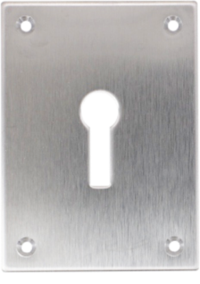 Picture of REPAIR ESCUTCHEON SCREWFIX - KEYLOCK | 47.5 X 65.5 X 1.5 | POLISHED STAINLESS | PRINTED POLYBAG