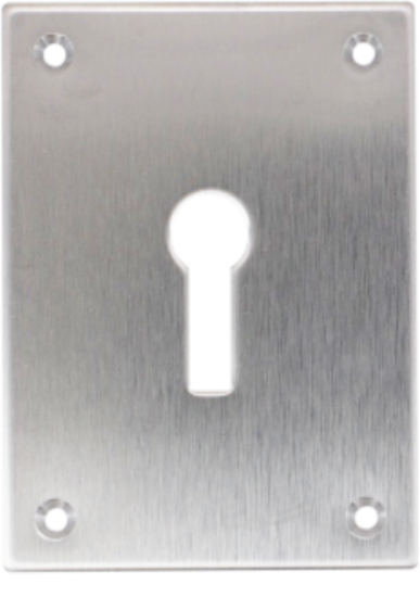 Picture of REPAIR ESCUTCHEON SCREWFIX - KEYLOCK | 47.5 X 65.5 X 1.5 | POLISHED STAINLESS | PRINTED POLYBAG