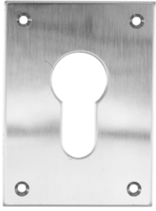 Picture of REPAIR ESCUTCHEON SCREWFIX - EURO PROFILE | 47.5 X 65.5 X 1.5 | POLISHED STAINLESS | PRINTED POLYBAG