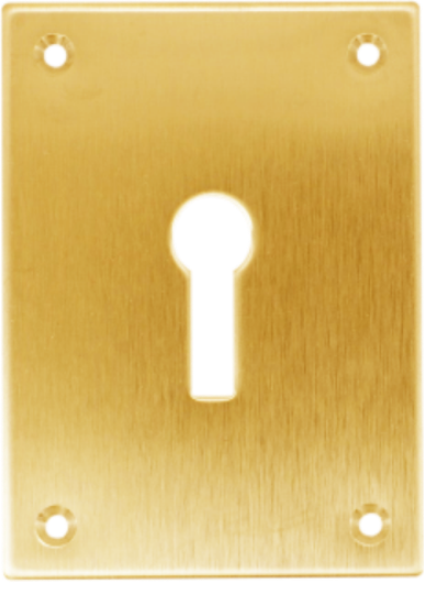 Picture of REPAIR ESCUTCHEON SCREWFIX - KEYLOCK | 47.5 X 65.5 X 1.5 | ELECTRO BRASS | PRINTED POLYBAG